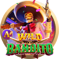 Wild Đạo Tặc game thumbnail